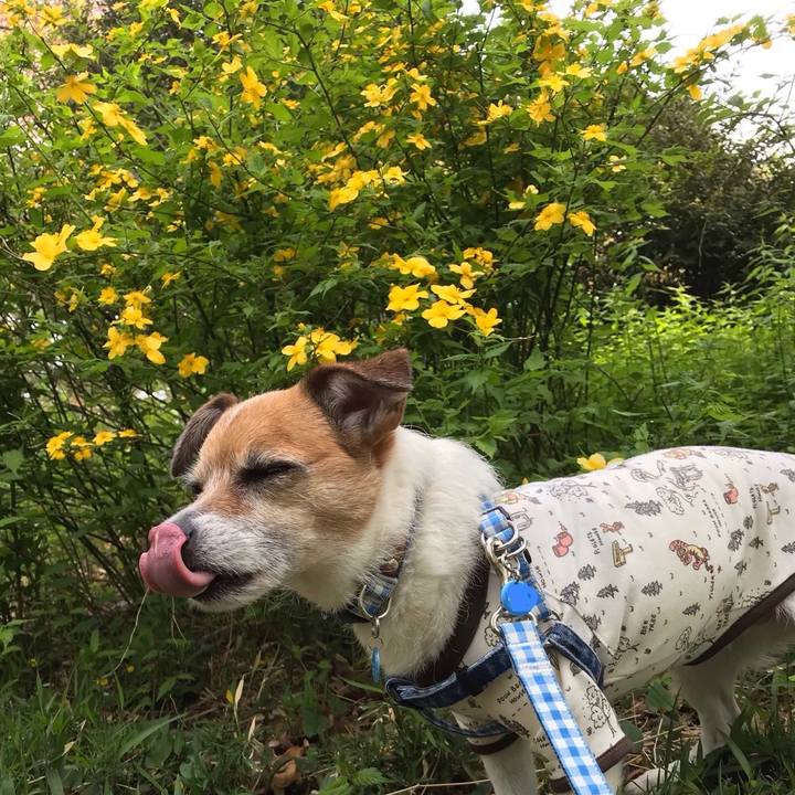 000ddb43 300c 4ce4 8071 e0f132e8dbbe 1555645828200