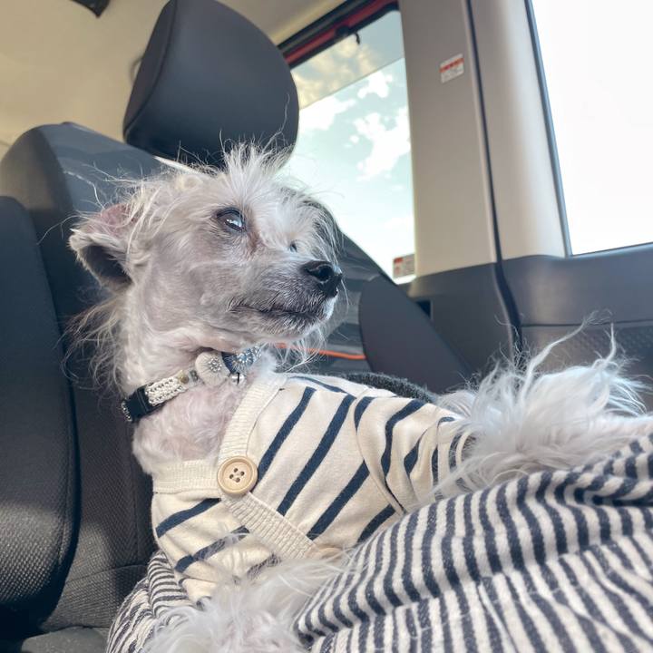 000e62a8 809f 4f1a b5f0 9c8879ba0858 1762848976035