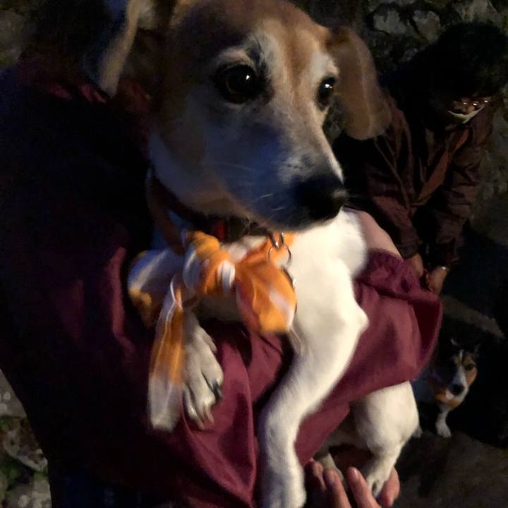 000e88d0 81fd 45c0 9df4 fc463ae0238c 1607676984881