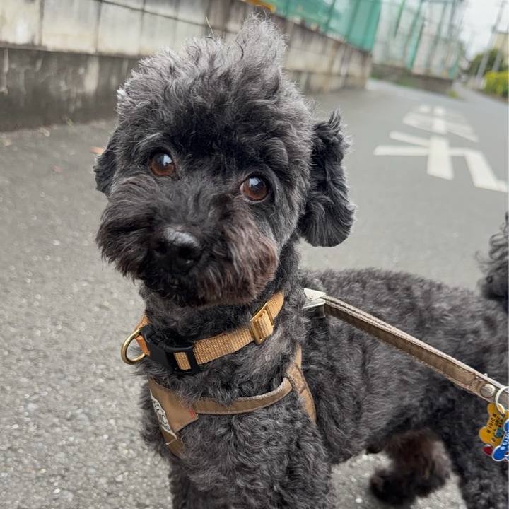 000eb839 21ff 4c0c 9f1c 5885638c9402 1760157540876