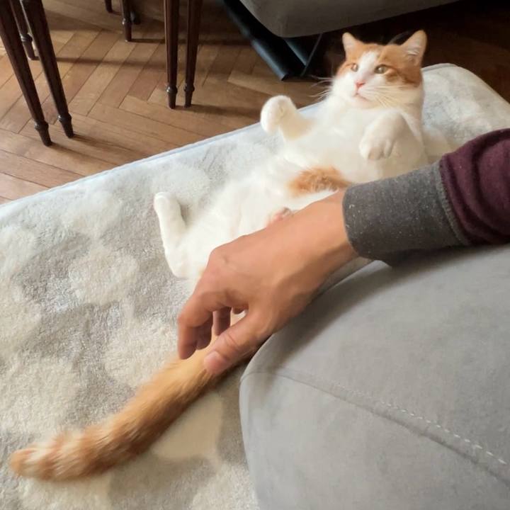 000eba84 eed6 462f 8c1e 4f0f36a2edfe 1771115038928