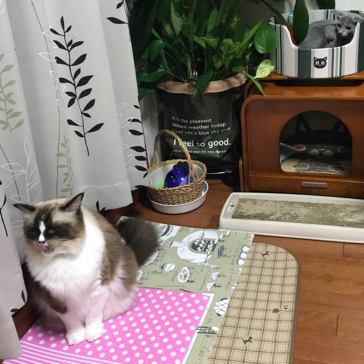 000ed6d4 4521 4931 9c43 23126c1f9c40 1508077494676