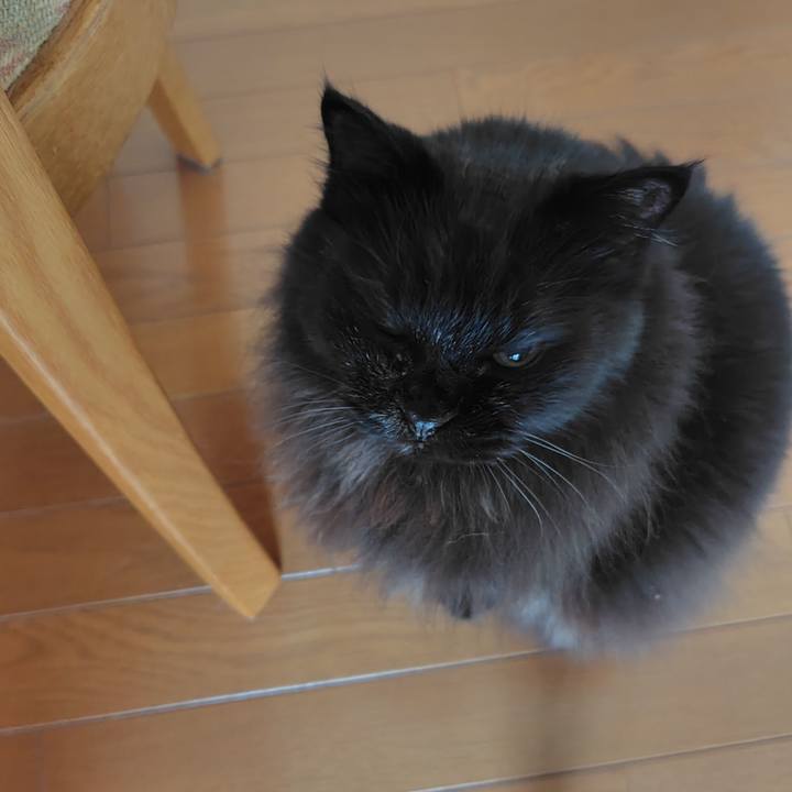 000f318b 0997 4def 868f 63741ff79917 1728170440676