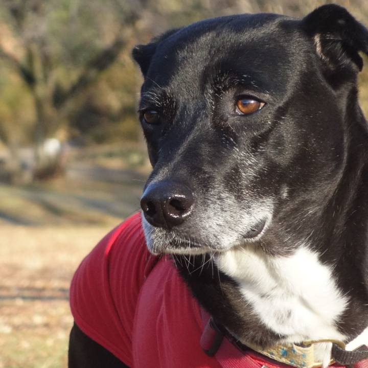 000f4b8f 6608 4fa4 b14c d52bd2f853ed 1703465069543