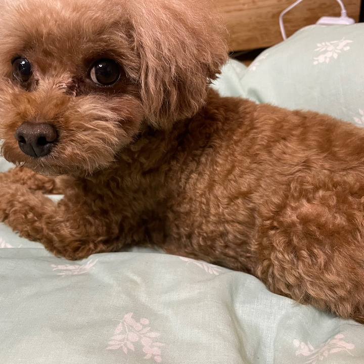 000f6c89 8451 40dc ac69 eac1e69fd5ae 1680098638064