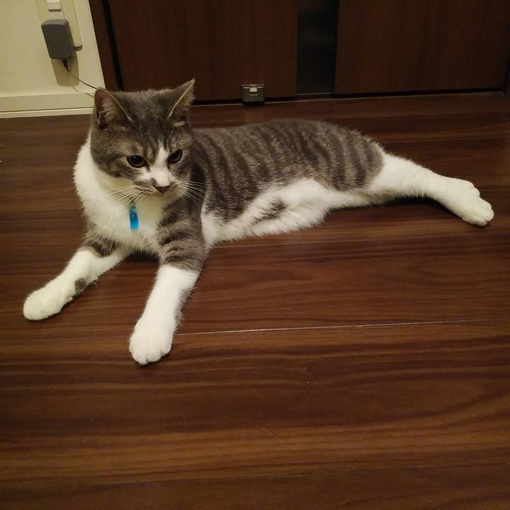 000fa31d 6d63 4a2c a638 a16aa207adc1 1581523239169