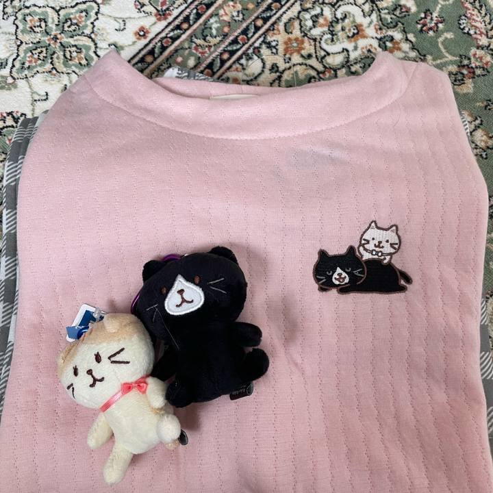 000fc96c 5d2b 4347 8b76 c92563adf1cc 1693360949413