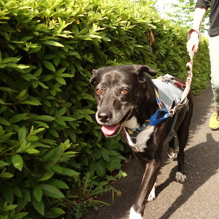 000fd419 8ba4 4161 8da1 11f515a5cc0b 1747269573214