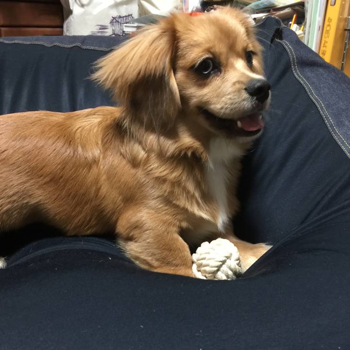 001026d6 fa48 4515 b588 c40078cc310c 1616305701882