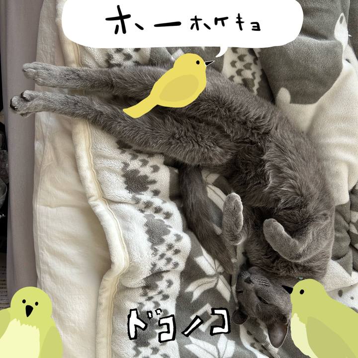 001082a8 99da 4bab 9e6f 749870f82a57 1711080822879