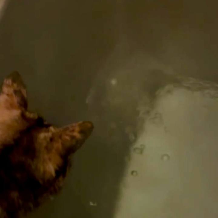 00109650 757c 4379 86ab c604254b9e5d 1764449213550