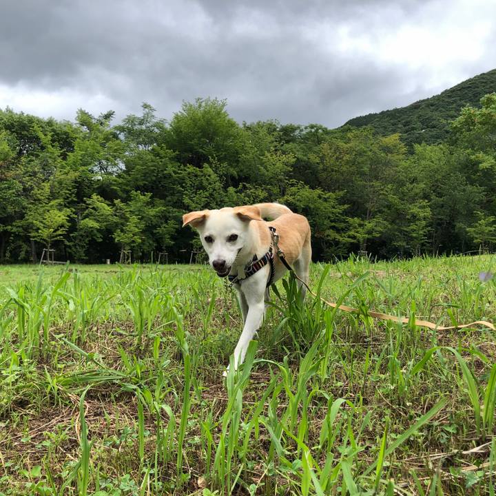 001099d2 50cf 44e1 8a04 d921a5633c66 1630623863582