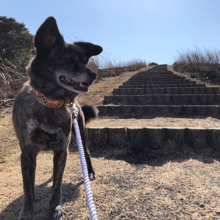 0010b9b7 4ce5 48ae af19 22c02174e6cf 1614900003357