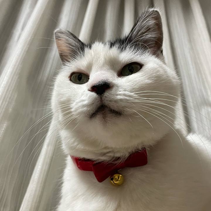 0010d25f bc15 4c72 99ce b4a31331c2e0 1610461597611