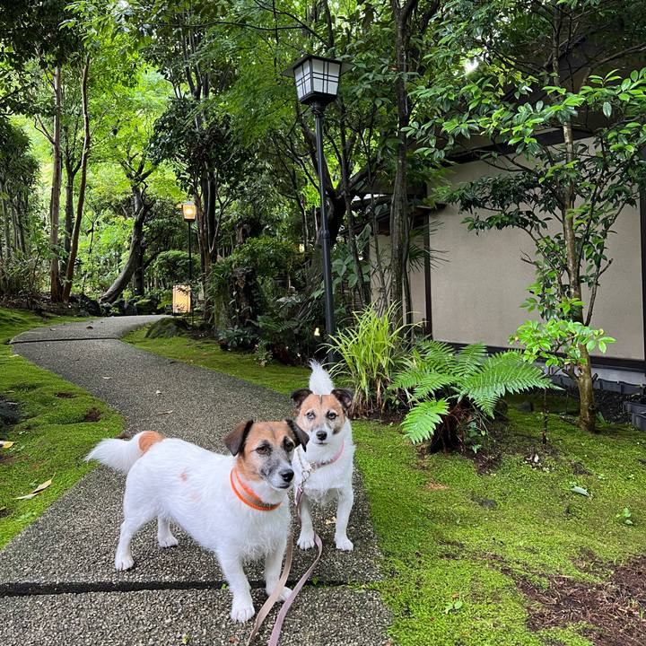 00113adc ddd0 4d73 a885 41f70da906ae 1686976242143