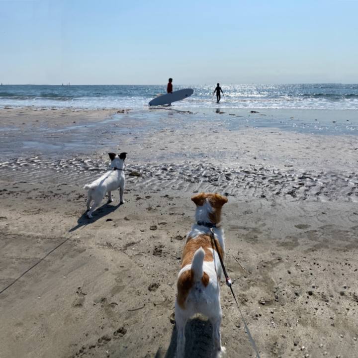 00114ff9 9186 47b5 a8d8 36726a4f2140 1617884854096