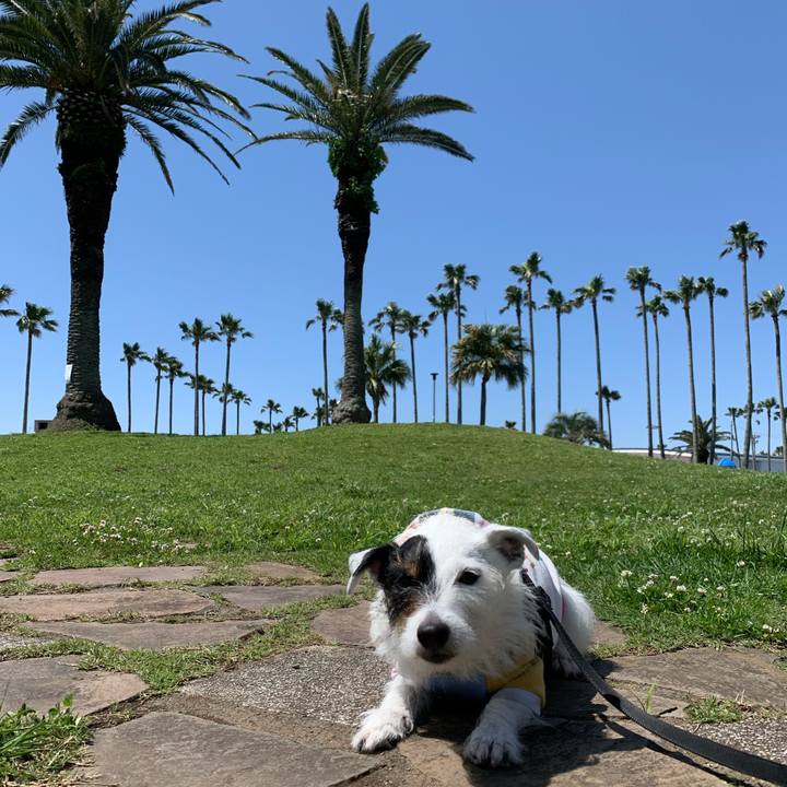 0011839a 4934 4b09 afe4 e1653b49a54b 1651281730820