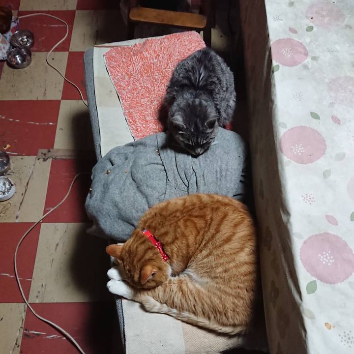 00118a9a 2bf7 4a7c a696 9873d3b13861 1577868933526