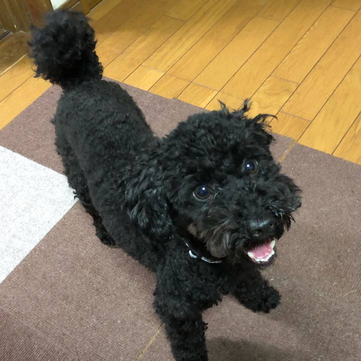 00118de2 e558 4b62 a0cc a582b4e8a72b 1511082486973