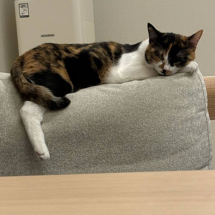 00119770 cf67 4a66 8431 49f5f03e761b 1773148618776