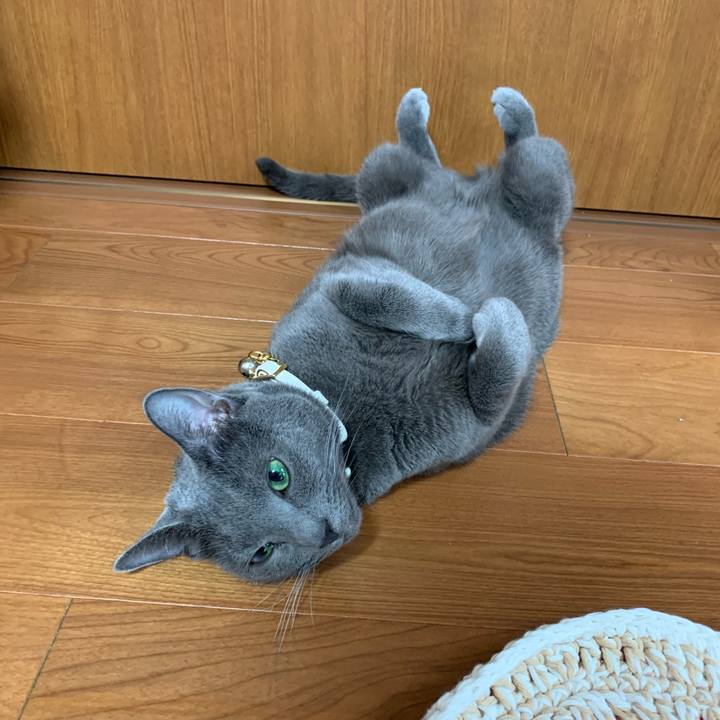 0011a33a 8af3 4ed4 9846 4b5f9a594a07 1657091059883