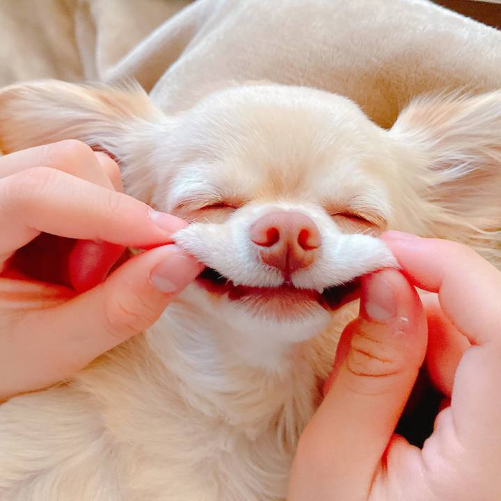 0011b281 1ae9 4a44 8e67 44c0f84747c3 1647483689774