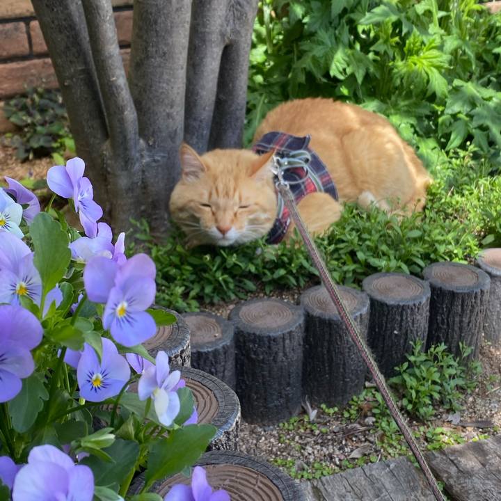 0011c751 9d08 4c72 82f3 abe46b7587d7 1651117150249