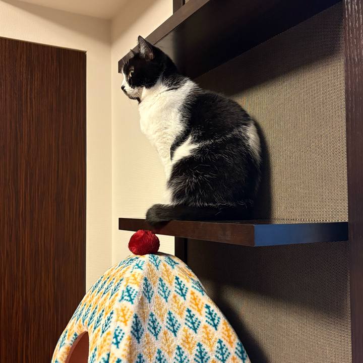 0011cb34 4ece 446b 8c80 83e8fc6c8221 1767873649837