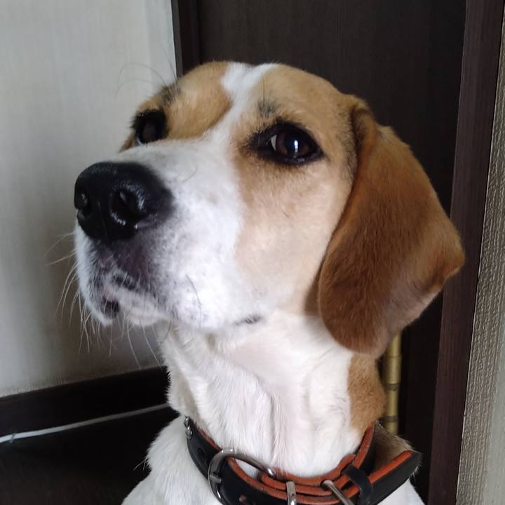 001214c7 5890 4f32 8ad2 b77dd44a693c 1635221817241