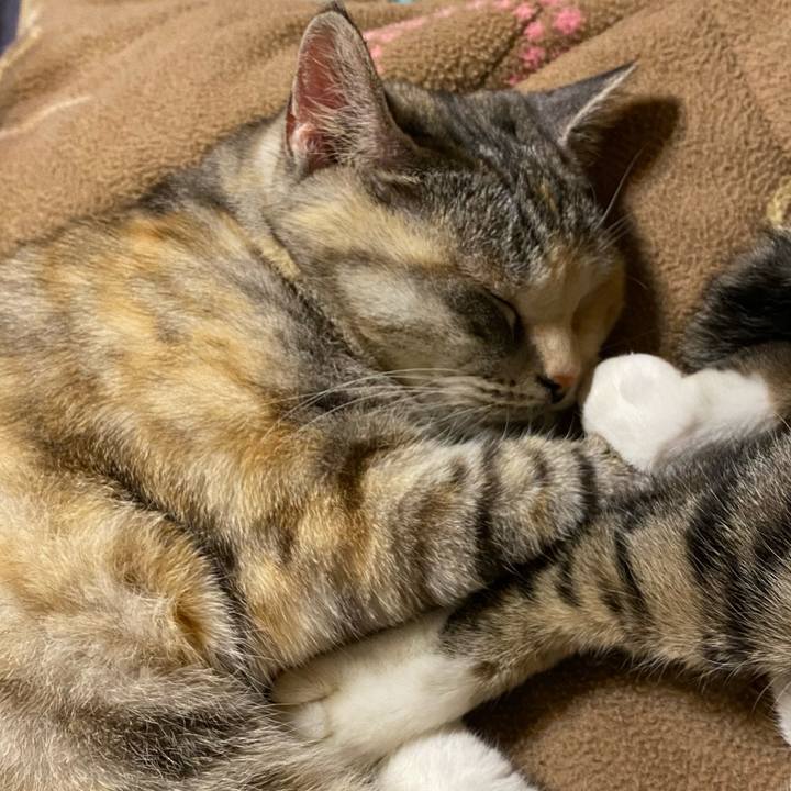 0012168d cc13 4a34 9cc1 bb63236432e2 1618507151939