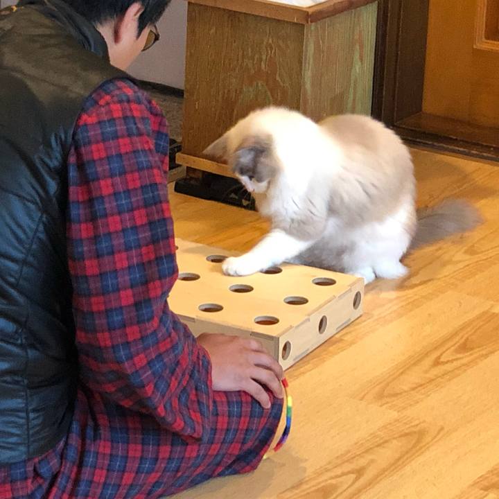 001228c5 276c 443a 9e64 81c856fb385f 1575159294131