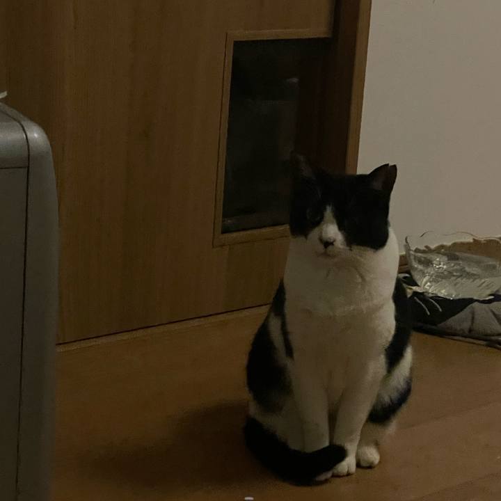 00124f19 2259 4a54 bb6a 7258e12ffea2 1703790830571