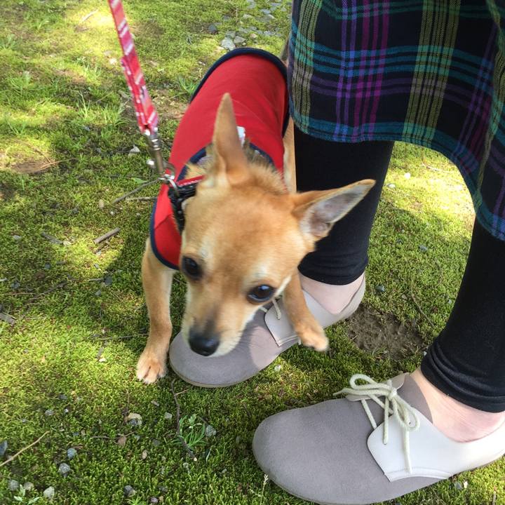 00126aa8 e7c5 40aa b595 5a65f9b73daf 1548565586701