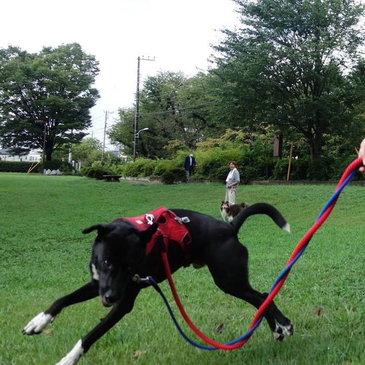 001273a6 8429 4955 be41 9cd83063116c 1599091160103