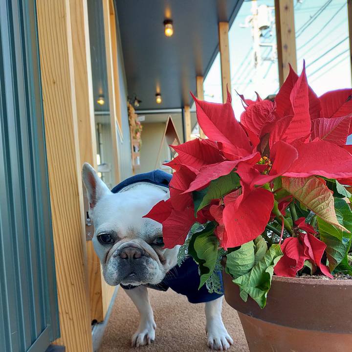 0012add2 2e15 4741 b3c9 61bb1e8f5894 1639634233413