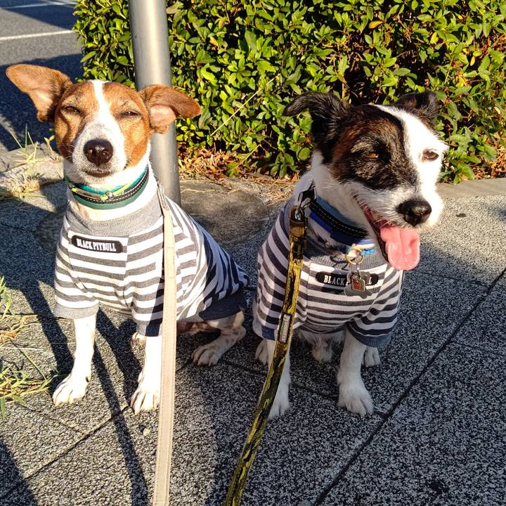 0012d368 2057 4c96 a6ca 6b94906e9074 1690579302877