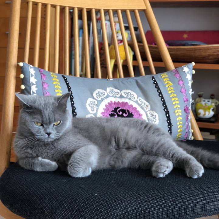 0012e219 65f7 480e 9c82 f8b30ea114f8 1531013513569