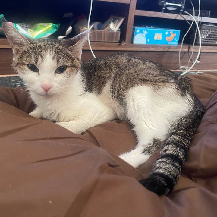 00134023 09a4 4095 af07 aaff4f22290f 1641769527913