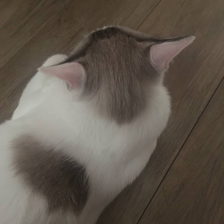 001378b9 3662 43e2 8a3f f869ed61d875 1568511129241