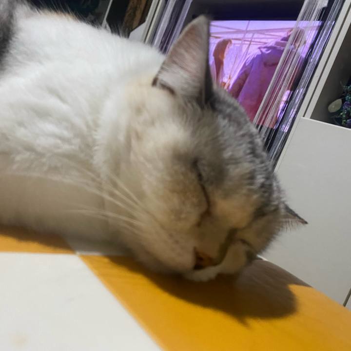 00138f6e c89a 430b 8454 fdf5fc1af5e0 1758985494721