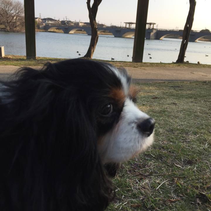 0013ab48 1284 4308 8902 ee00cc8cb4d9 1520758685130