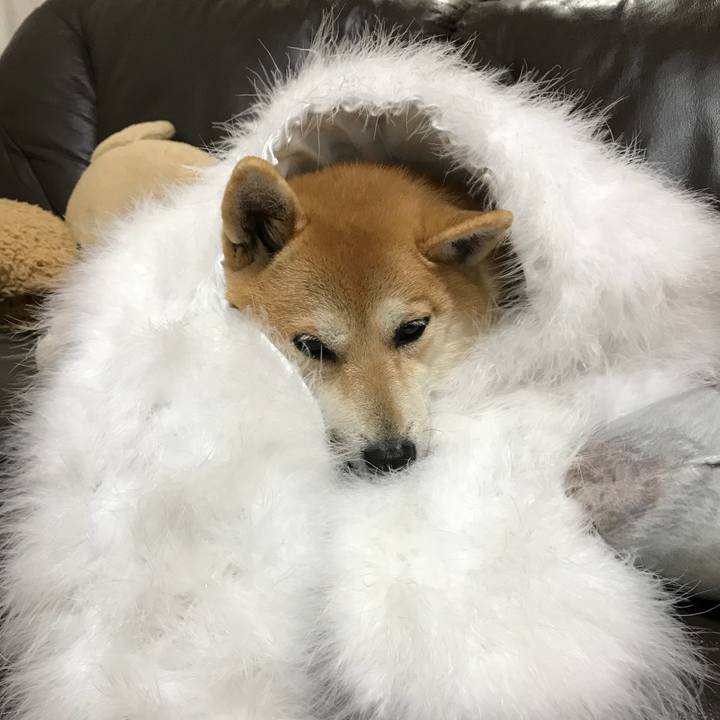 0013ac52 ca3a 4852 9aa3 35eb8f968883 1515114930492