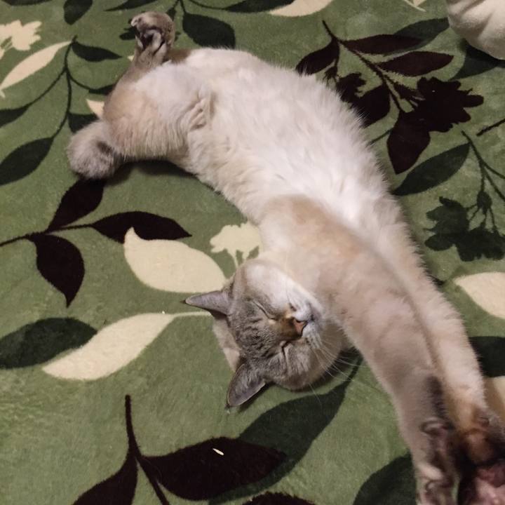 0013bd88 c4f4 4cd0 8f63 be1dc671d82c 1581851937792