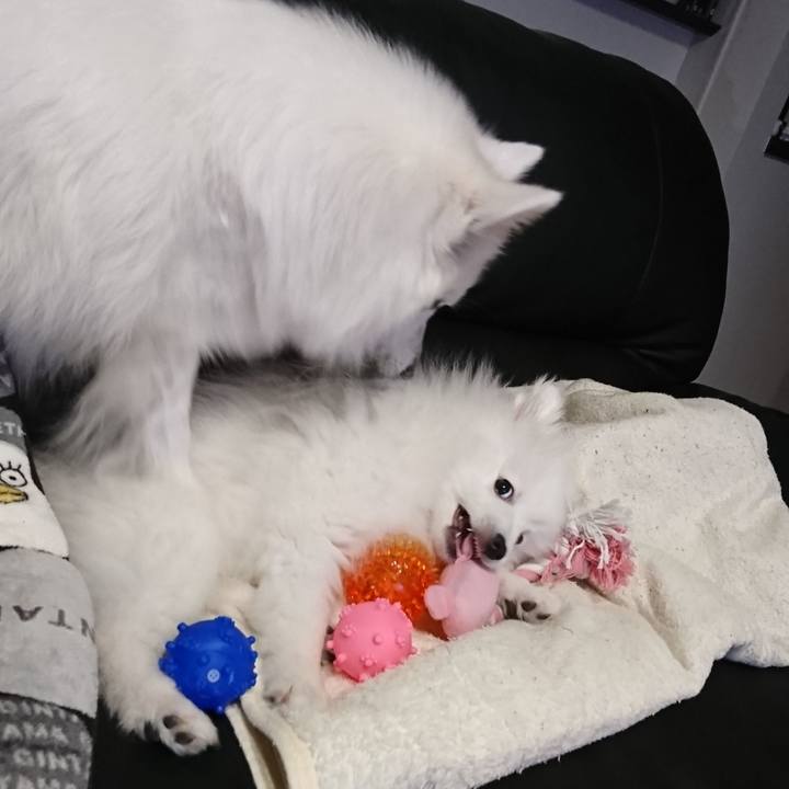 00140a31 ff7e 4d90 bc65 bfad3ce398ac 1547992534921