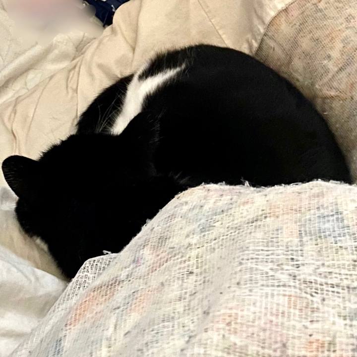 00140c5d add9 463e 971b f46c0f673597 1636483856104