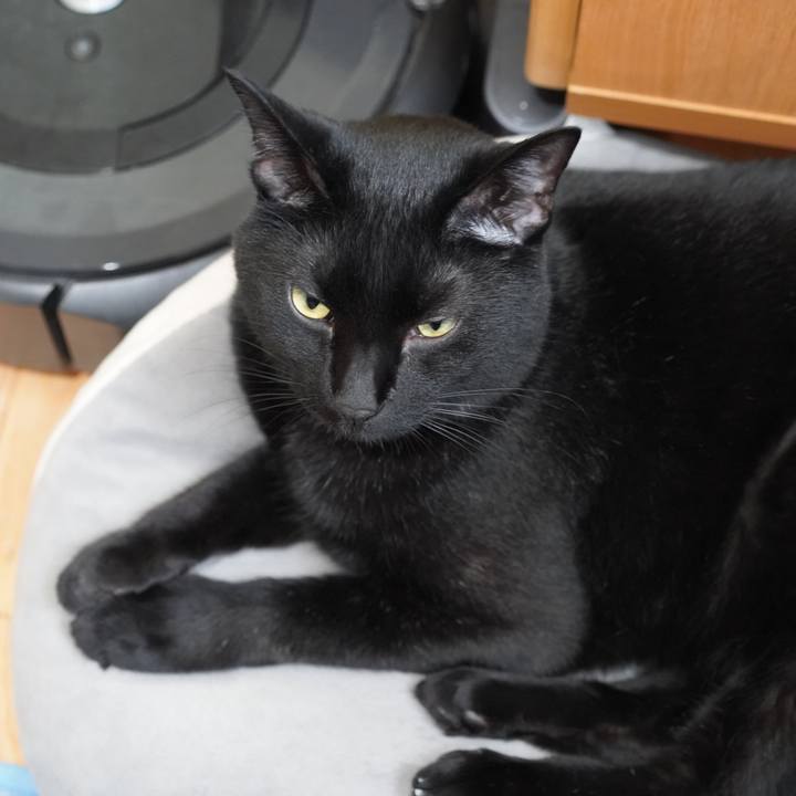 00142527 fa5a 4738 9635 82f05b02bd28 1623901432965