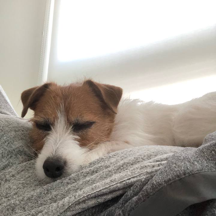 001431bc 490f 4851 b89d f77f75377a61 1579413554599