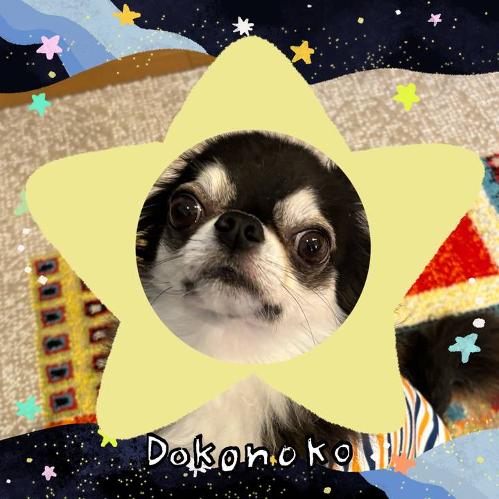 0014949a 4b7a 47b3 8cf0 2f920a555c1c 1720824597429