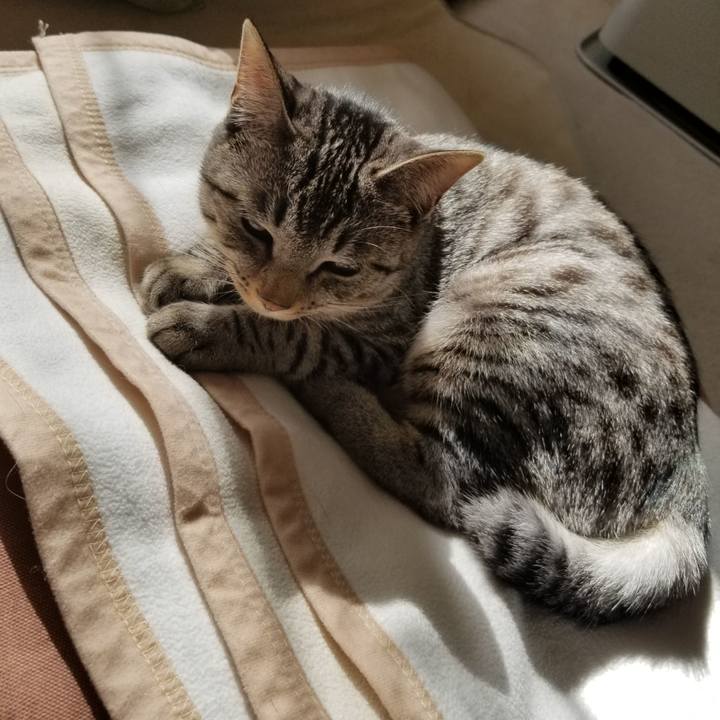 0014e356 3d51 4621 883b 35db4da0effa 1678876615481