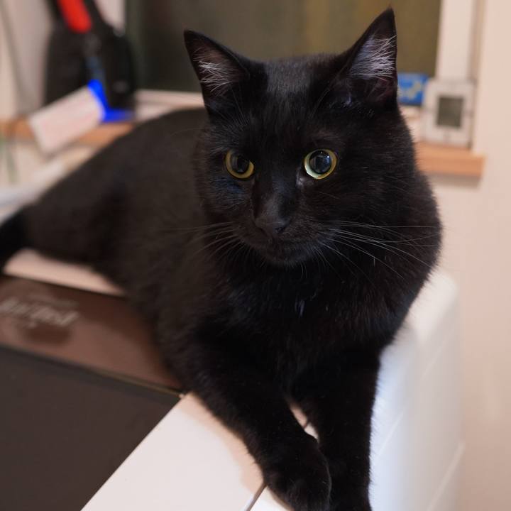 00151c24 df98 411c 96b9 1659373cc56e 1593045060844